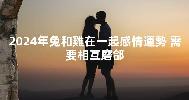 2024年兔和雞在一起感情運勢 需要相互磨郃